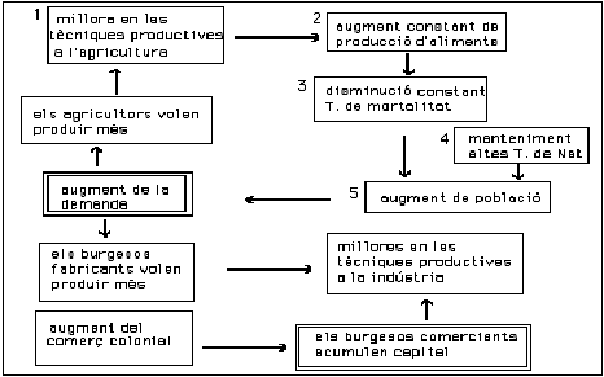 quadre sinòptic